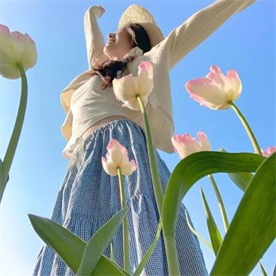 超完美明星